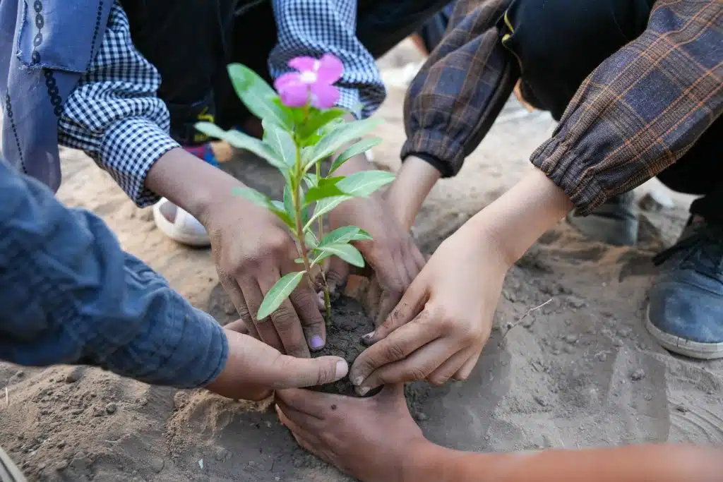Des élèves plantent des arbres dans le cadre des initiatives de l'UNICEF au Yémen pour encourager les jeunes à protéger l'environnement et à agir pour lutter contre le changement climatique.© UNICEF/UNI484434/ALfilastini