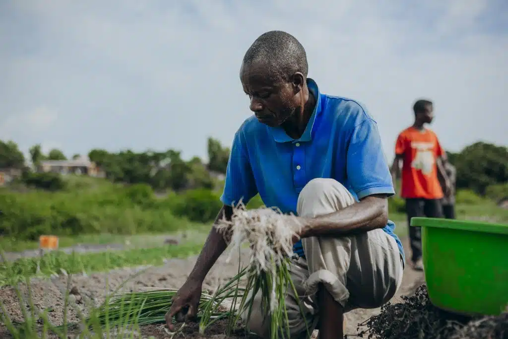 Simon Ziola est agriculteur dans la province du Kongo Central en RDC. 