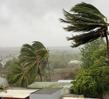 Cyclone Chido : protéger les enfants avant tout