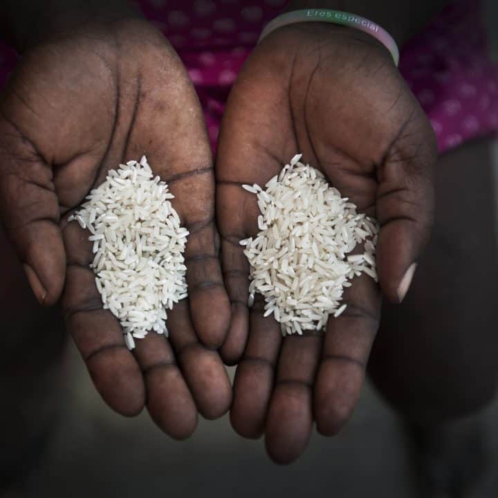 En Haïti, dans l'Artibonite, la population vit dans un environnement rural où l'agriculture est le principal moyen de subsistance. ©Alfonso Rodriguez pour Action contre la Faim